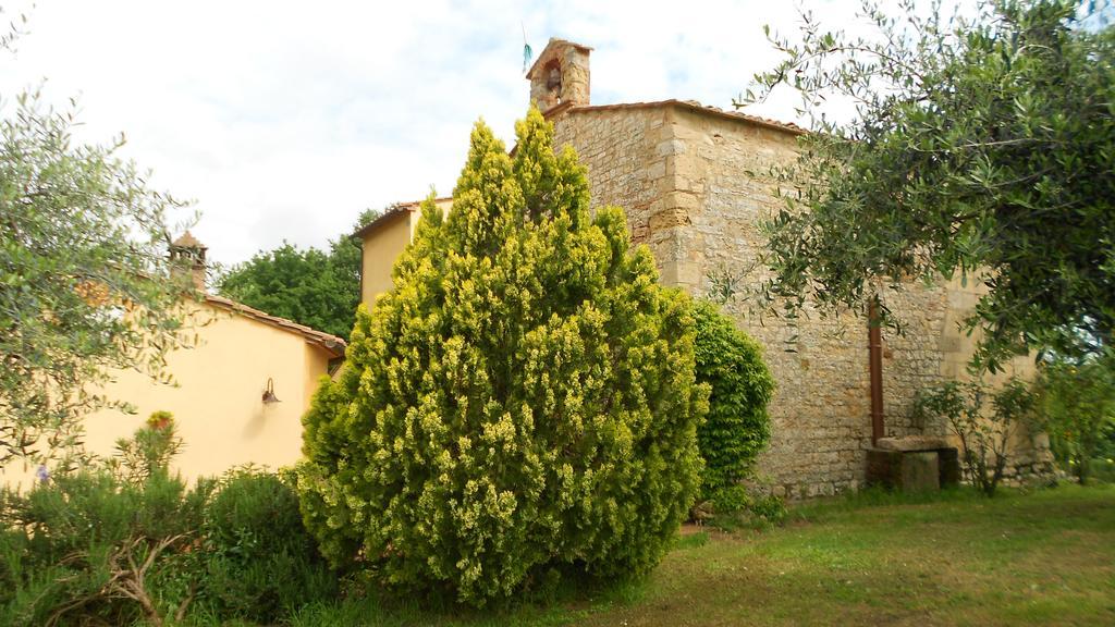 San Martin Del Colle Holiday Home Casciana Terme Rum bild